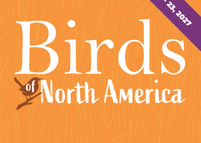 Birds of North America